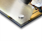 Rice Bag on the Head Acrylic print