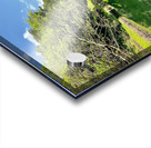 Both Side Reflections Acrylic print