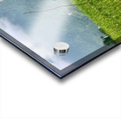 Asian Scarecrow Acrylic print