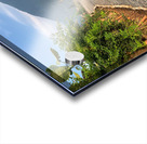 Follow The Road Impression Acrylique