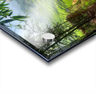 Enter the Rice Fields Acrylic print