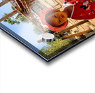 Little Girl on the Farm Acrylic print