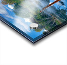 Mysterious Reflection Acrylic print