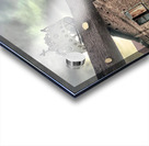 The Crown Acrylic print