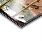 The Cat Living in the Ambulance Acrylic print