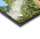 Elephant in the Wild Acrylic print