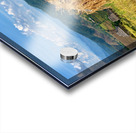 Behind the Rice Acrylic print