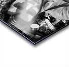 BW Elvis Acrylic print