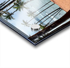 Coconut Hill Acrylic print