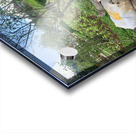 Lets Clean the Park Acrylic print