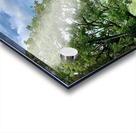 Jungle View Acrylic print