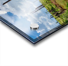 Field of Broken Trees Acrylic print