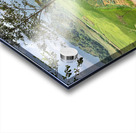 Little House by the Rice Fields Acrylic print