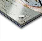 Sri Lankan Holy Water Impression Acrylique