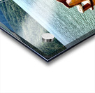 Sit by the Lake Acrylic print