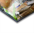 Transparent Boots Acrylic print