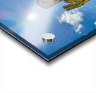 Sun Over Golden Buddha Acrylic print