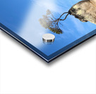 Tree Over The Rock Acrylic print