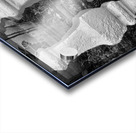 BW Cats Peaking Through Acrylic print