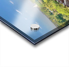 Downward Facing Dog Acrylic print