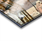 Birds in Historical Site Acrylic print