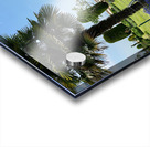 Garden in the Sky Acrylic print