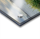 Bird Looking at the Bridge Acrylic print