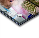 Furry Puppy Acrylic print