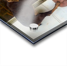 Goat on a Seat Acrylic print