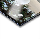 One Leg Balance Acrylic print