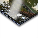 Perfect Tree Reflection During Sunset Acrylic print