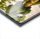 Papaya Trees Acrylic print