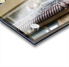 The Mirror Acrylic print