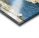 Seal Looking at a Distance Acrylic print