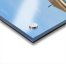 Alone at the End Acrylic print