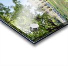 Mysore Palace 2 Acrylic print