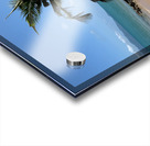 Mini Palm Tree Acrylic print