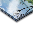 Mountains Behind the Branches Acrylic print