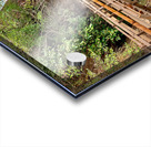 The Amazing Wat Phu Tok 3 Acrylic print