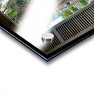 Welcome Mr Tree Acrylic print