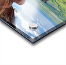 The Amazing Wat Phu Tok 5 Acrylic print