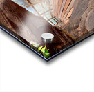 The Amazing Wat Phu Tok 1 Acrylic print