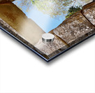 There is a Tree Outside Acrylic print