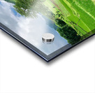 Beautiful Green Scenery Acrylic print