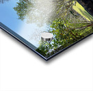 Half Wall Protection Impression Acrylique