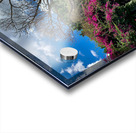 At the Park in Brisbane Acrylic print