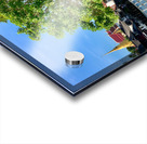 Tree Way Separation Acrylic print