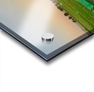 Sunset Over the Field by the Temple Acrylic print