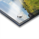 Beautiful Rice Field 2 Acrylic print