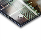 Dogs Looking Right Acrylic print